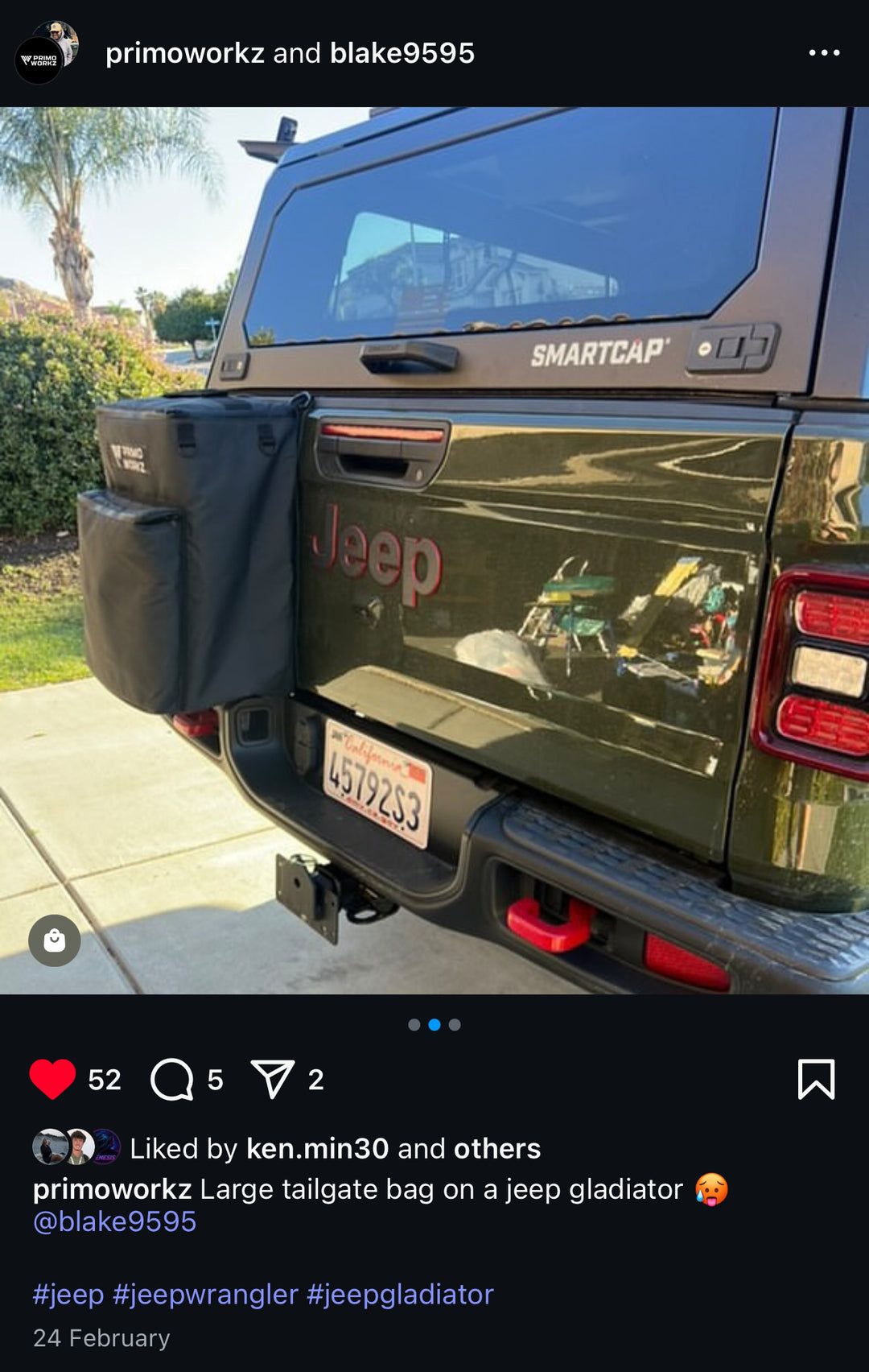 Tailgate Bag - Large