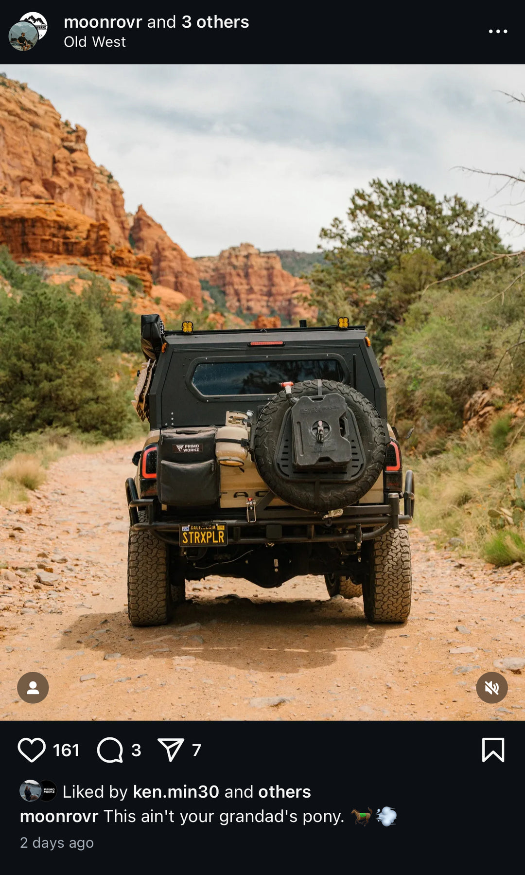 Tailgate Bag - Small