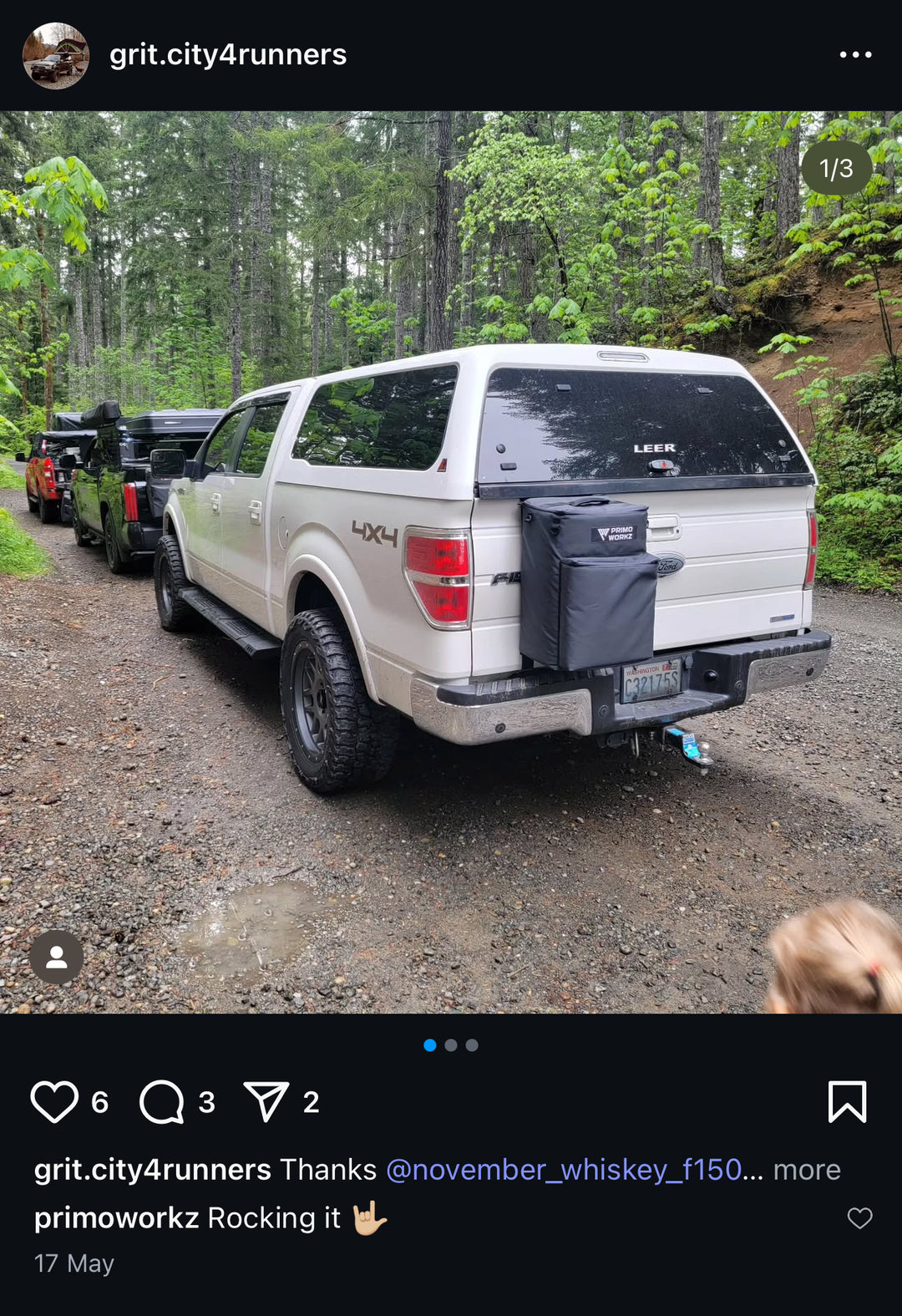 Tailgate Bag - Large
