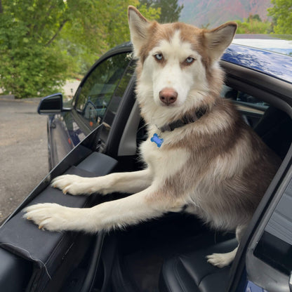 Co-Pilot Pack