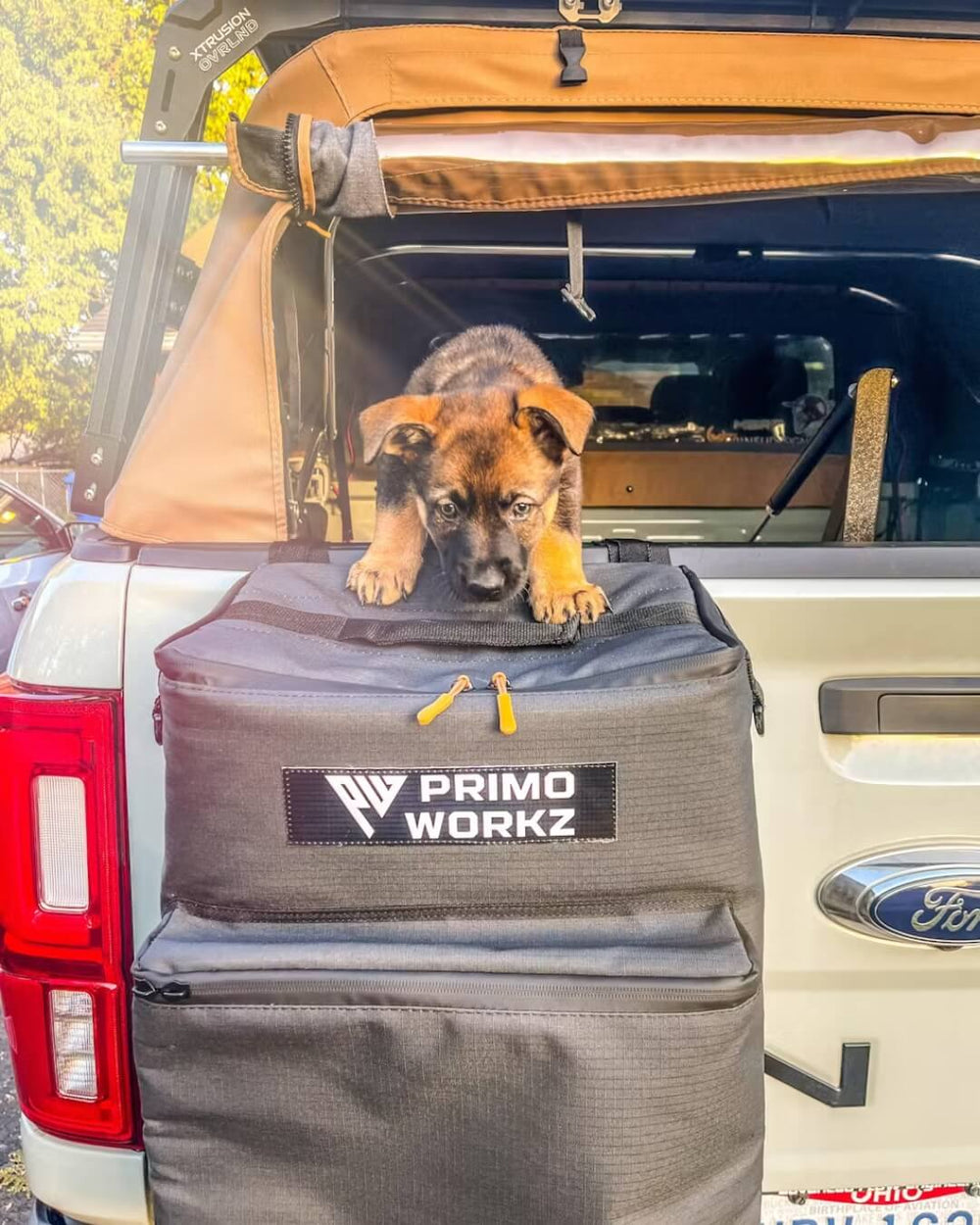 <p><strong>BACKED BY 25k+ HAPPIER DRIVERS</strong></p>