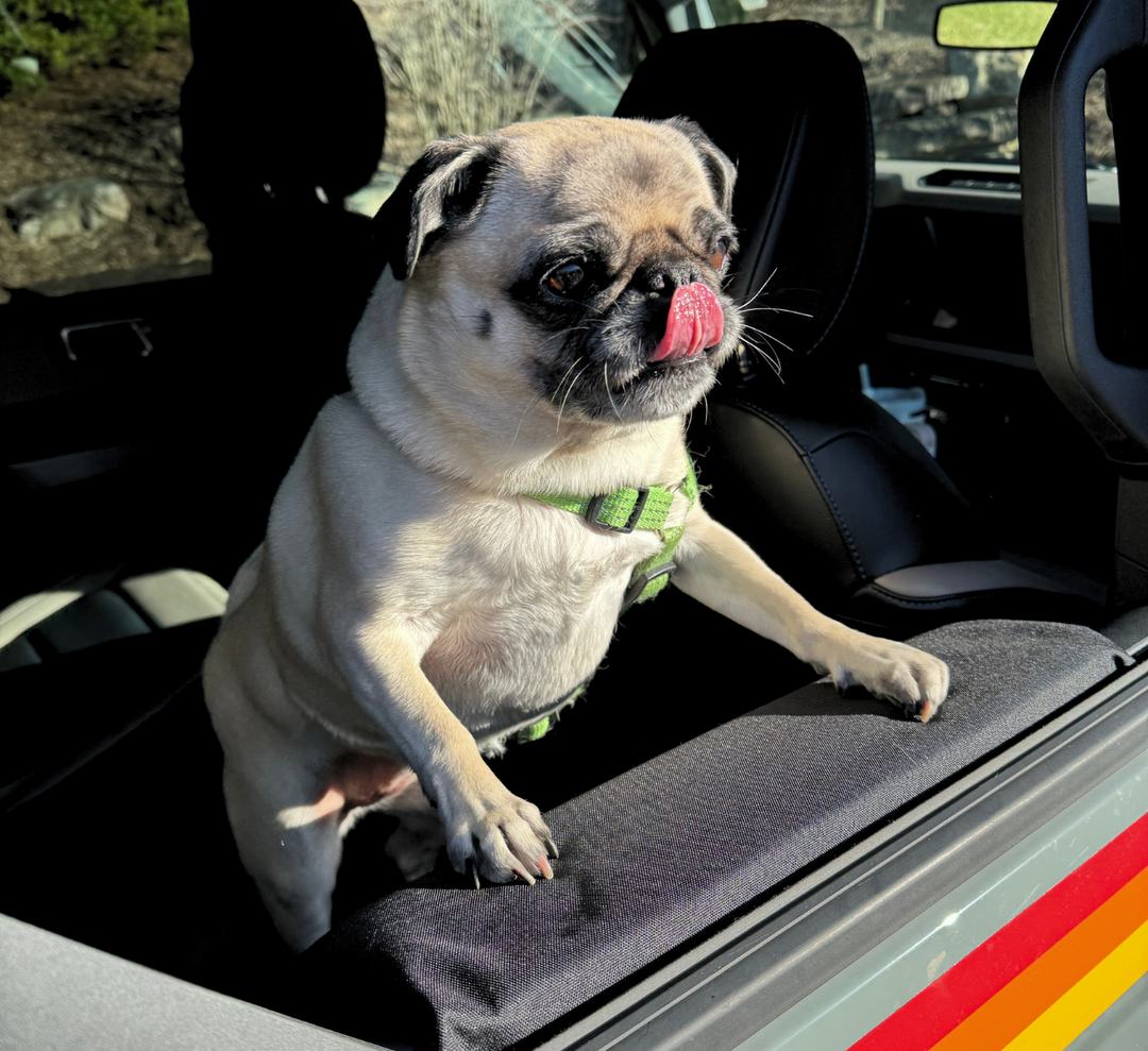 Pugs paws car seat hot sale